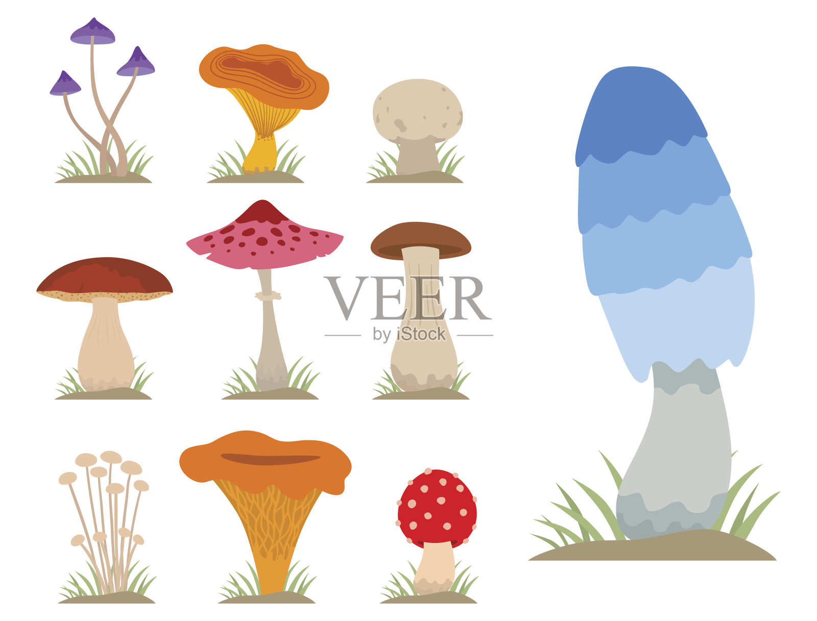 蘑菇为烹调食品和有毒的自然膳食素食健康的秋天食用和真菌有机蔬菜原料矢量插图插画图片素材