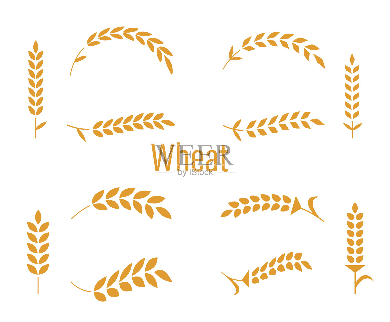 小麦穗或水稻图标设置。农业符号孤立在白色背景上。面包包装或啤酒标签的设计元素。矢量插图。插画图片素材