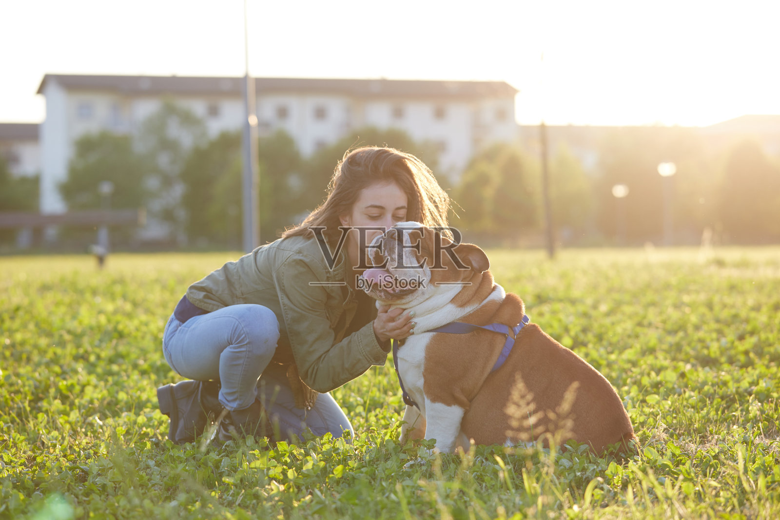 小女孩和英国斗牛犬在公园玩照片摄影图片