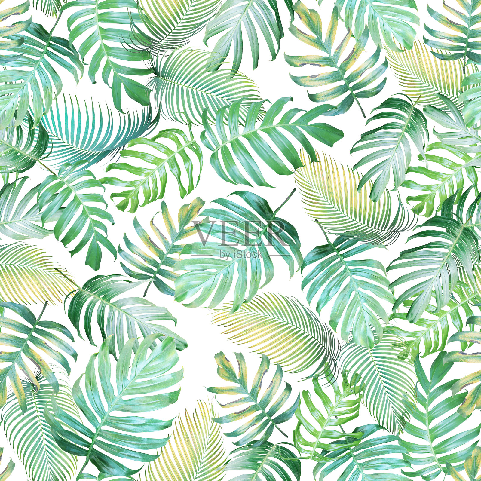 热带叶无缝图案的山葵和棕榈叶在浅黄绿调，热带背景。插画图片素材