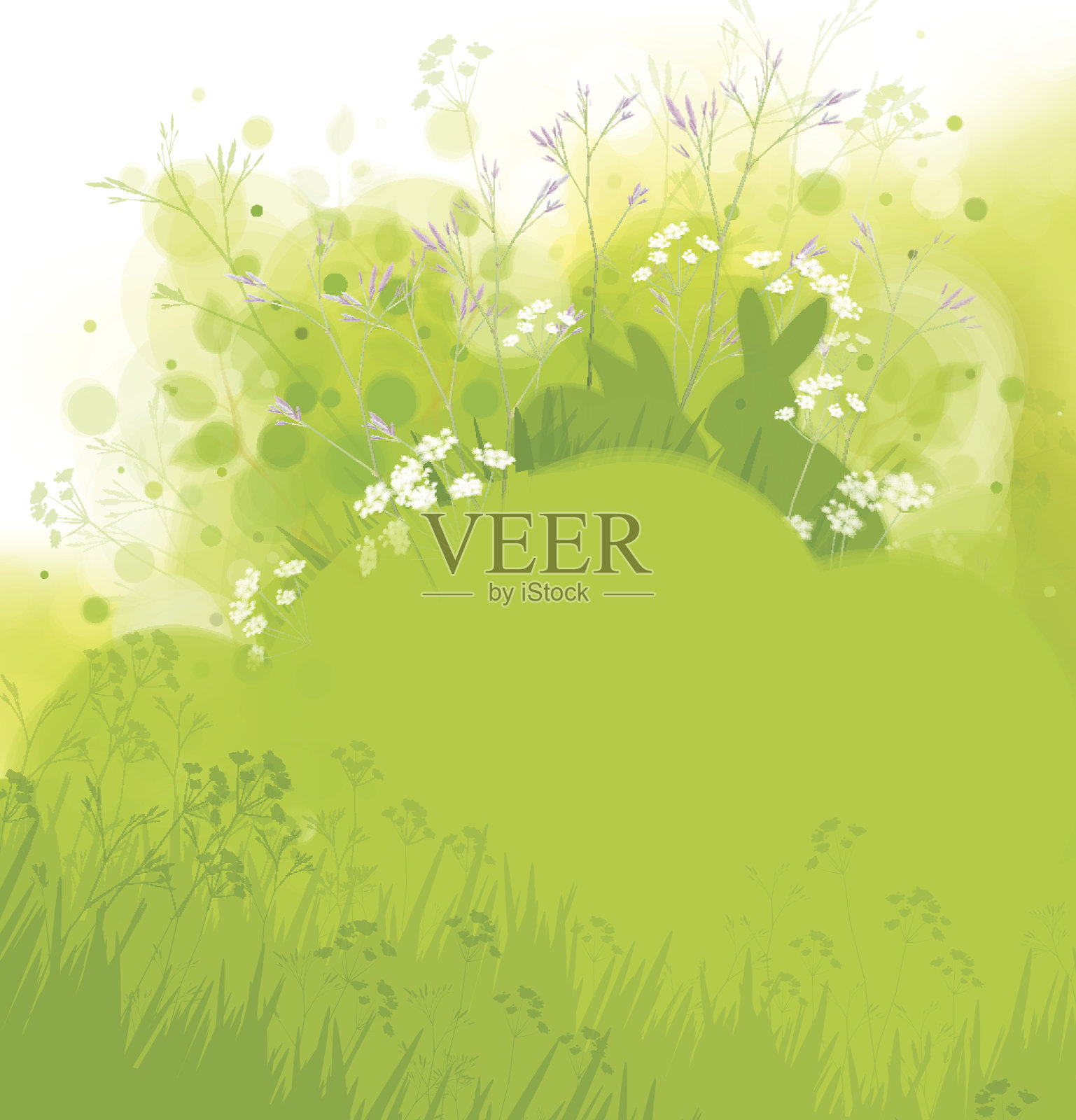 兔矢草，春色背景。插画图片素材