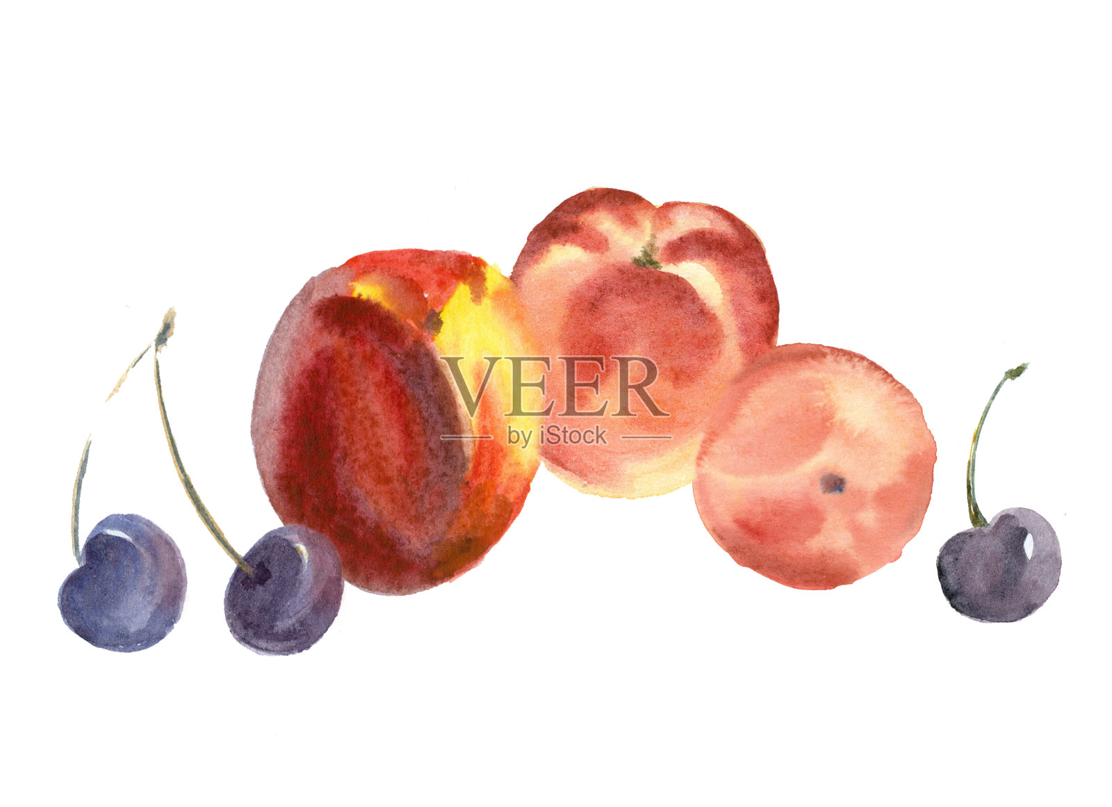 水彩水果和浆果。插画图片素材