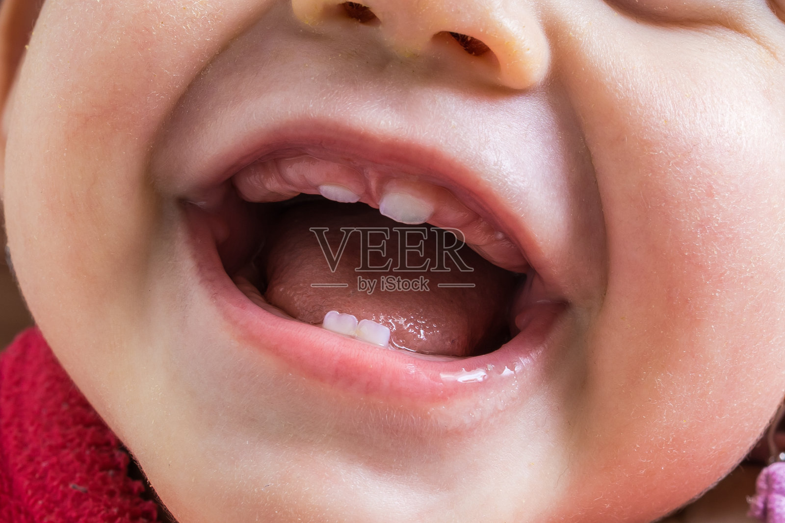近距离观察宝宝张开的嘴。第一次牙齿生长。照片摄影图片