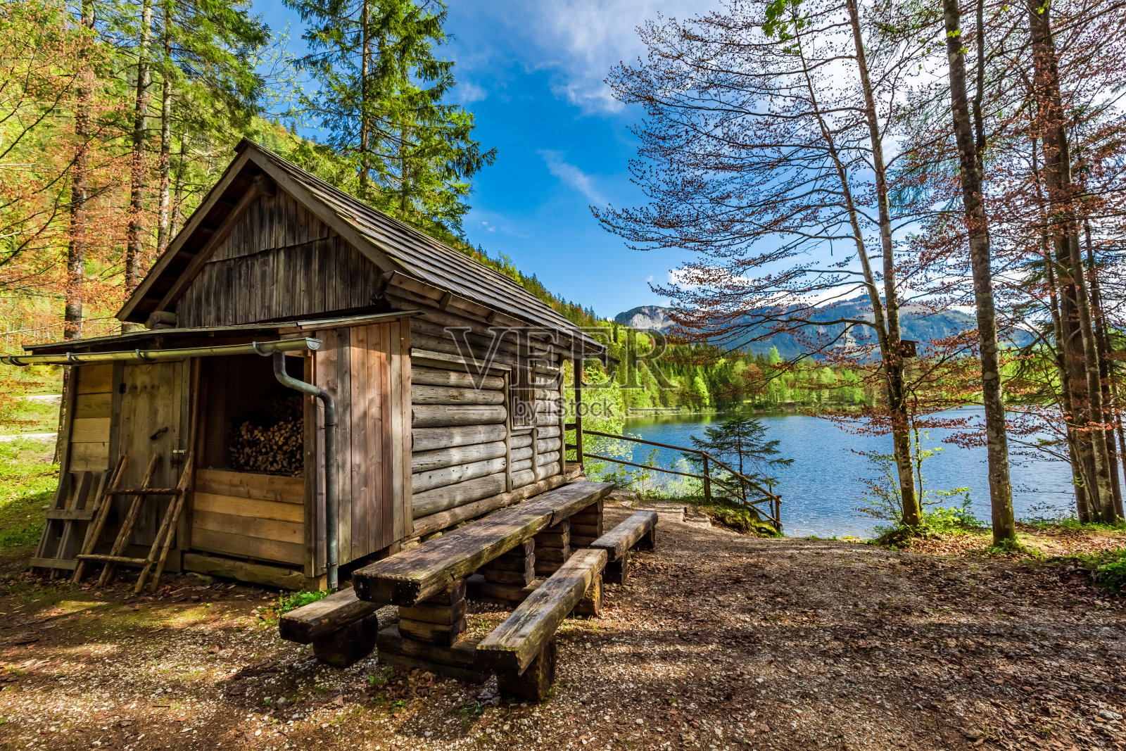 欧洲阿尔卑斯山湖畔的森林小木屋照片摄影图片