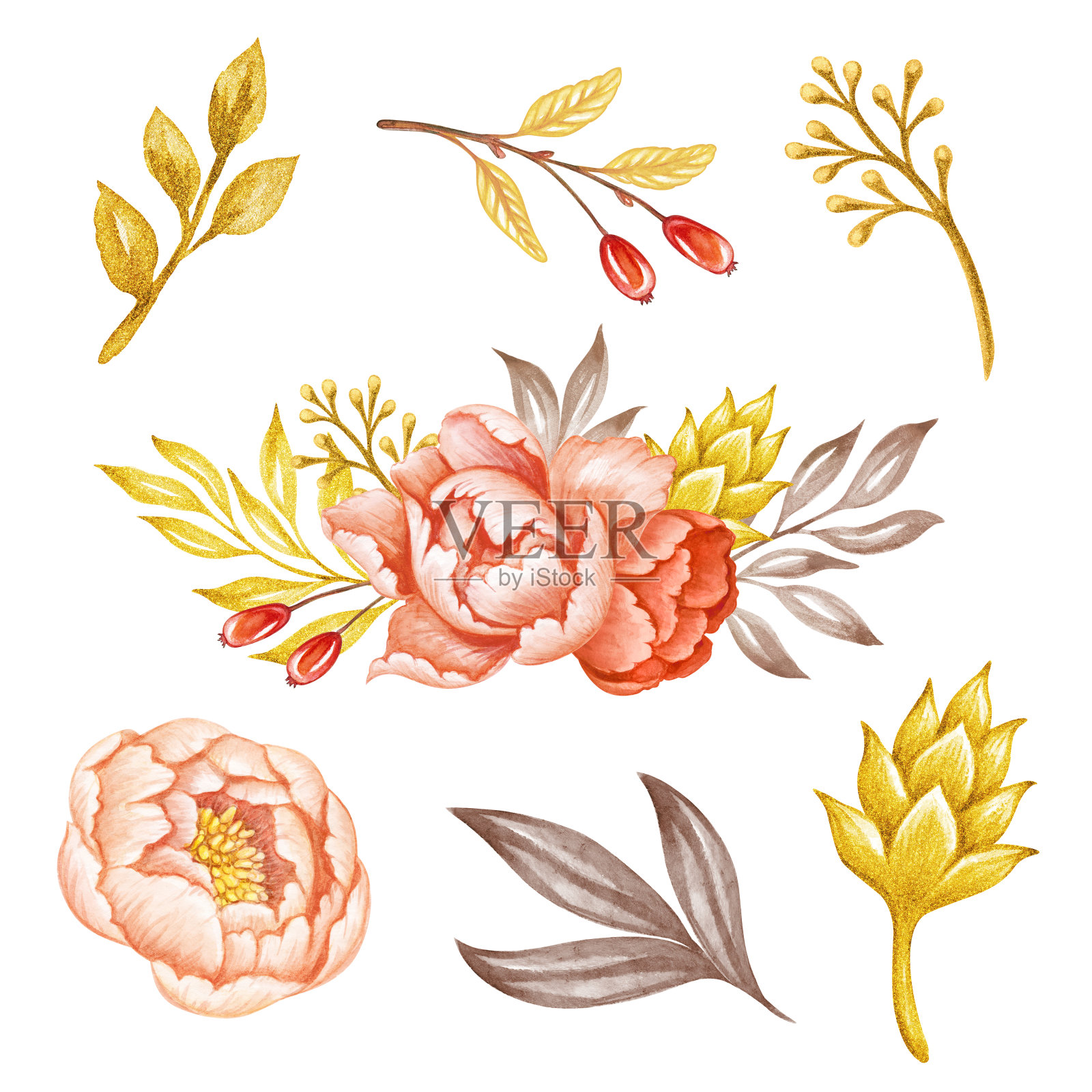 花卉设计元素，珊瑚和桃花牡丹花和金叶，水彩插图，孤立在白色背景插画图片素材