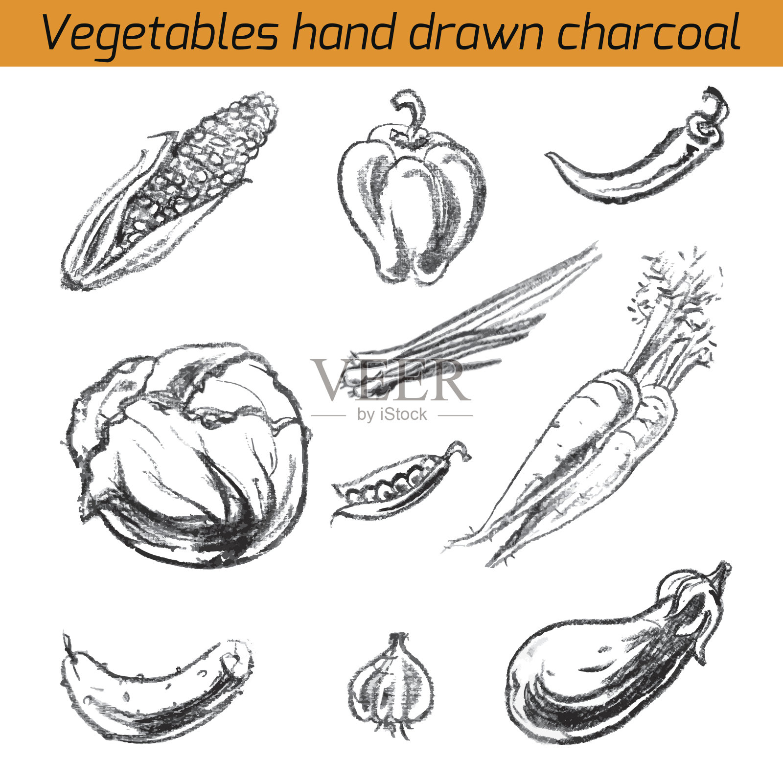 集蔬菜、木炭插画图片素材