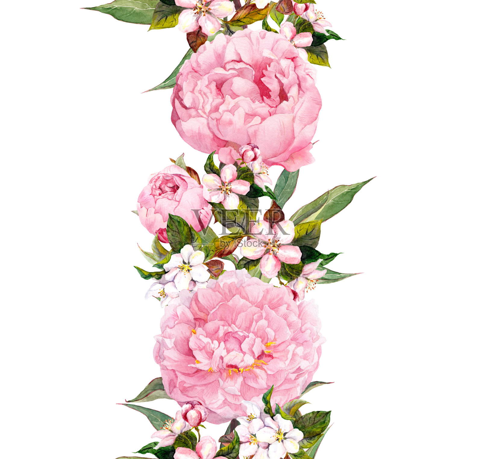 花的边界-粉红色的牡丹花和樱花。重复浪漫的旗帜。水彩插画图片素材