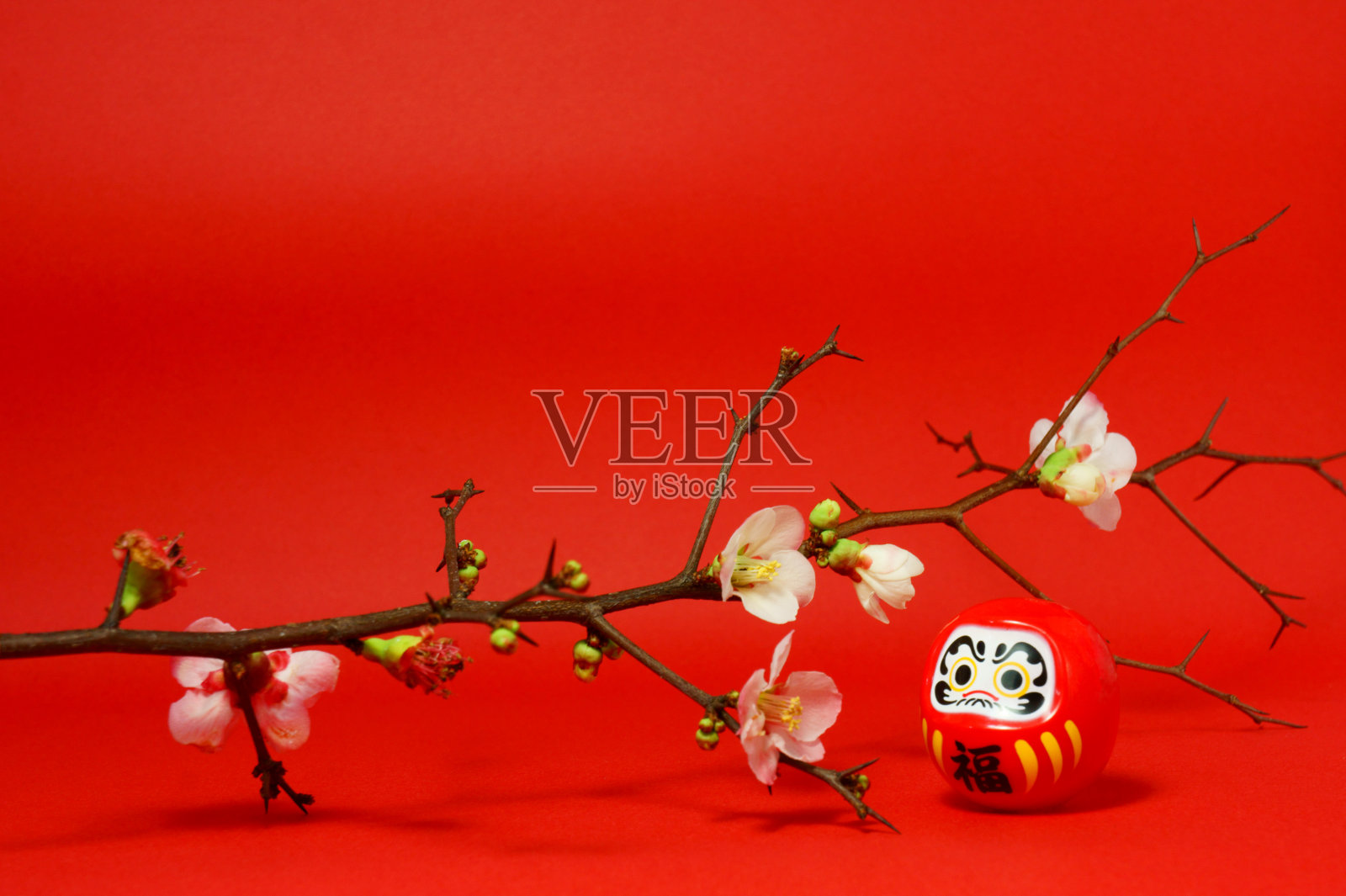 梅花和达摩是日本春天的意象照片摄影图片