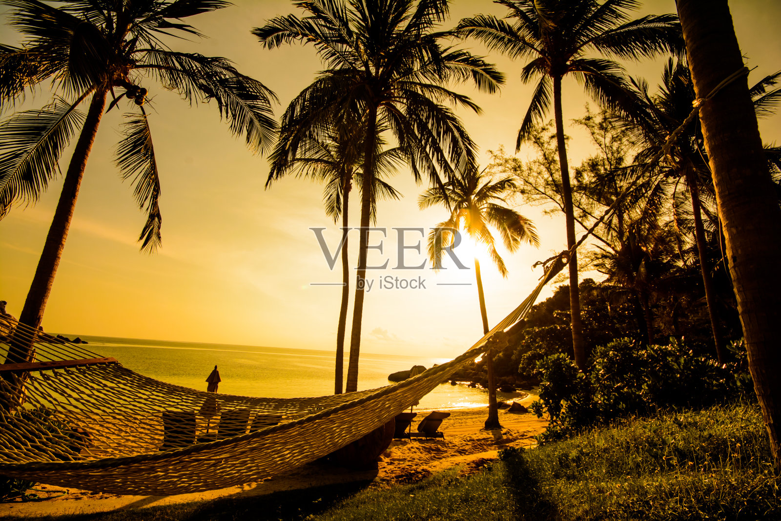 日落时分，沙滩上吊床和椰子树的剪影照片摄影图片