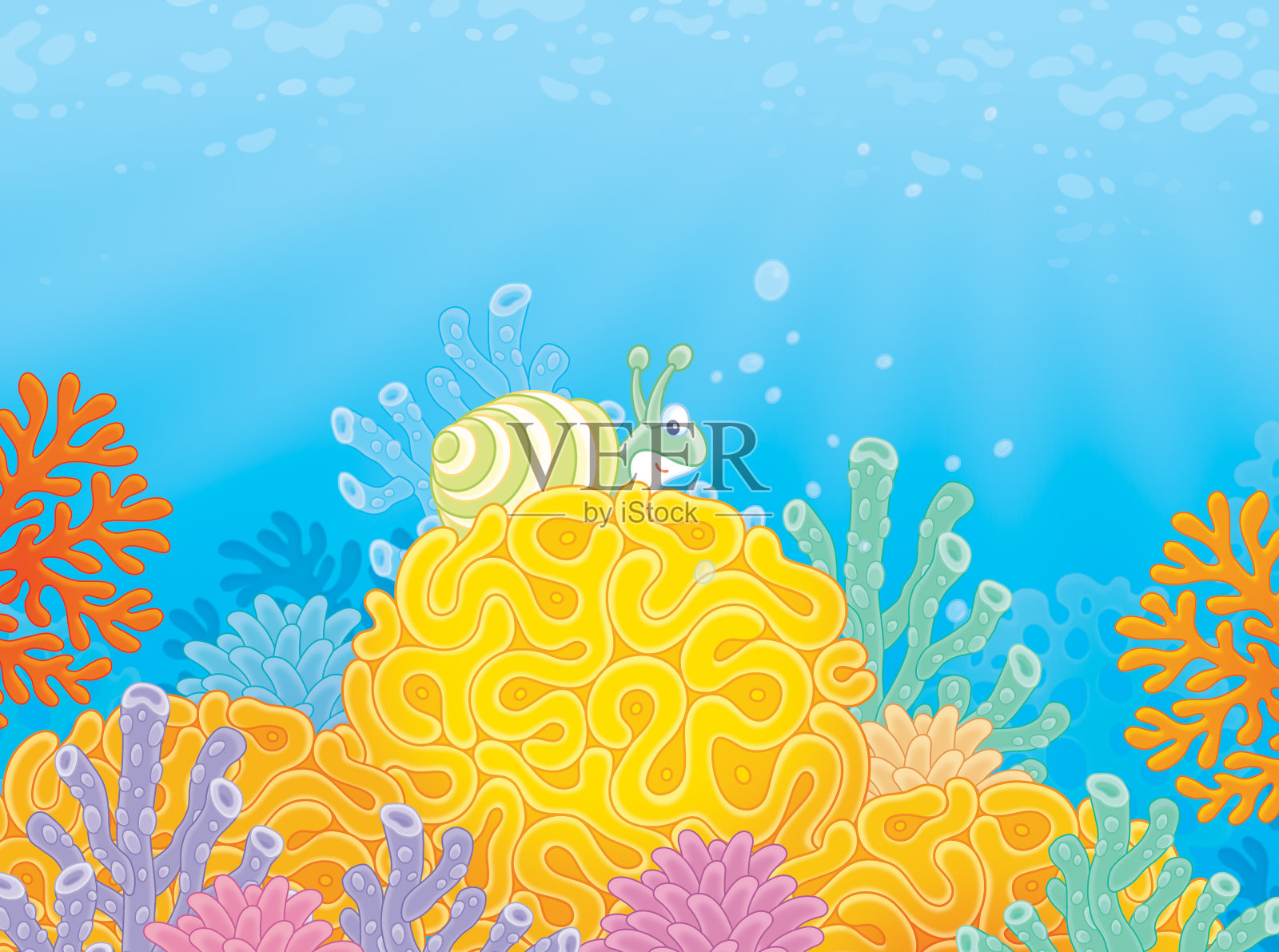 海螺及珊瑚插画图片素材