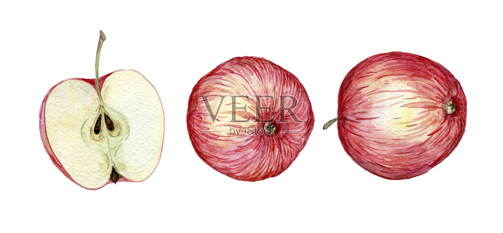 手工制作的苹果水彩画插画图片素材