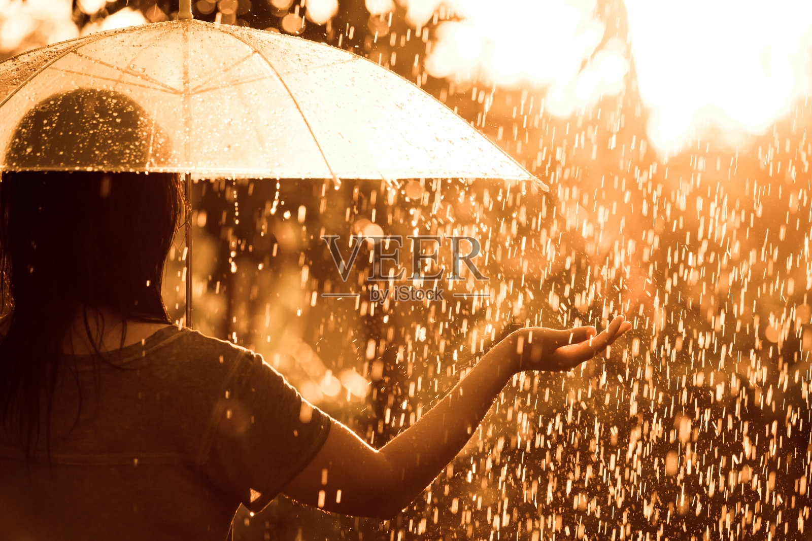 后视图的女人与雨伞在雨和阳光照片摄影图片