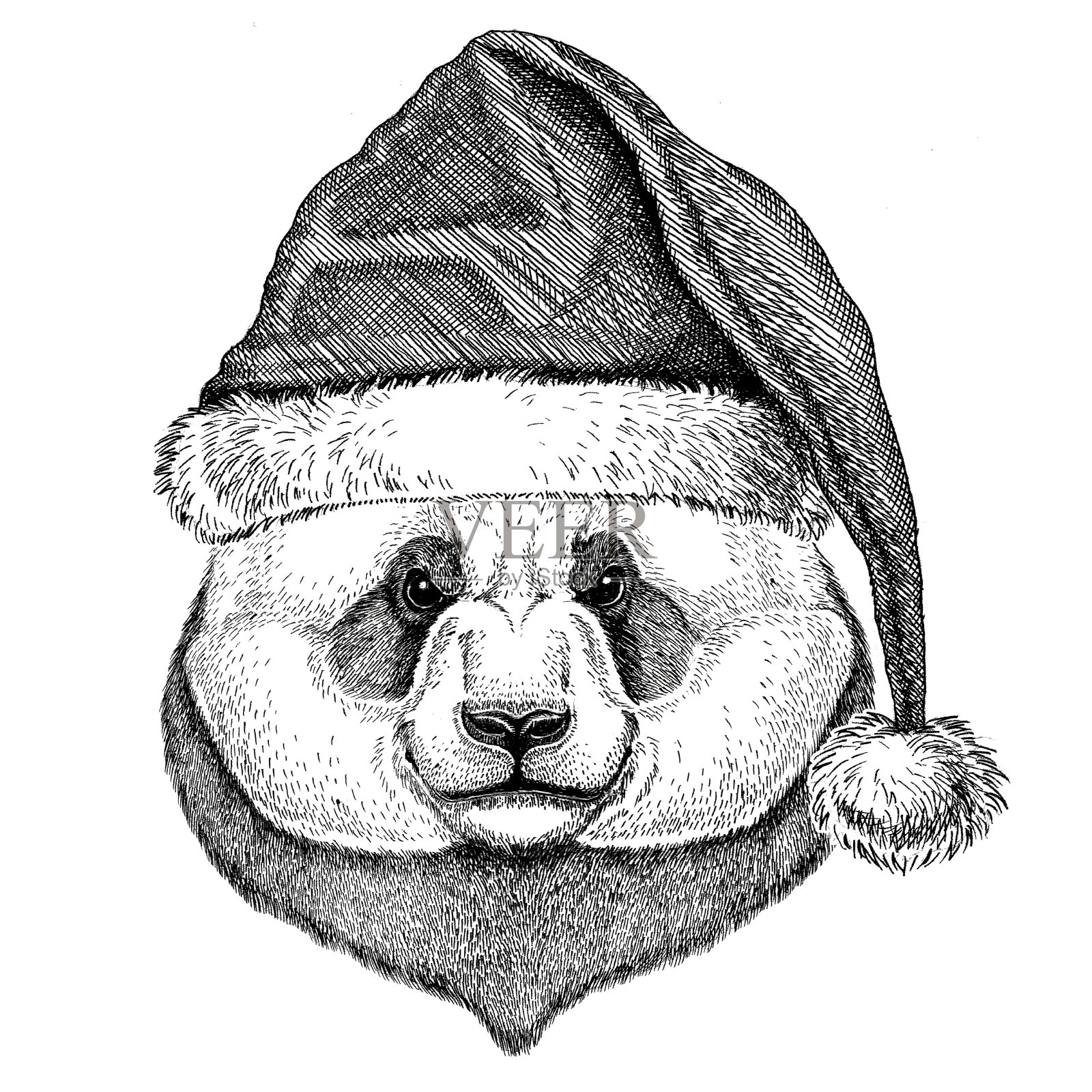 熊猫熊，竹熊圣诞帽，新年夜圣诞快乐，新年快乐动物园生活节日庆祝圣诞老人帽插画图片素材