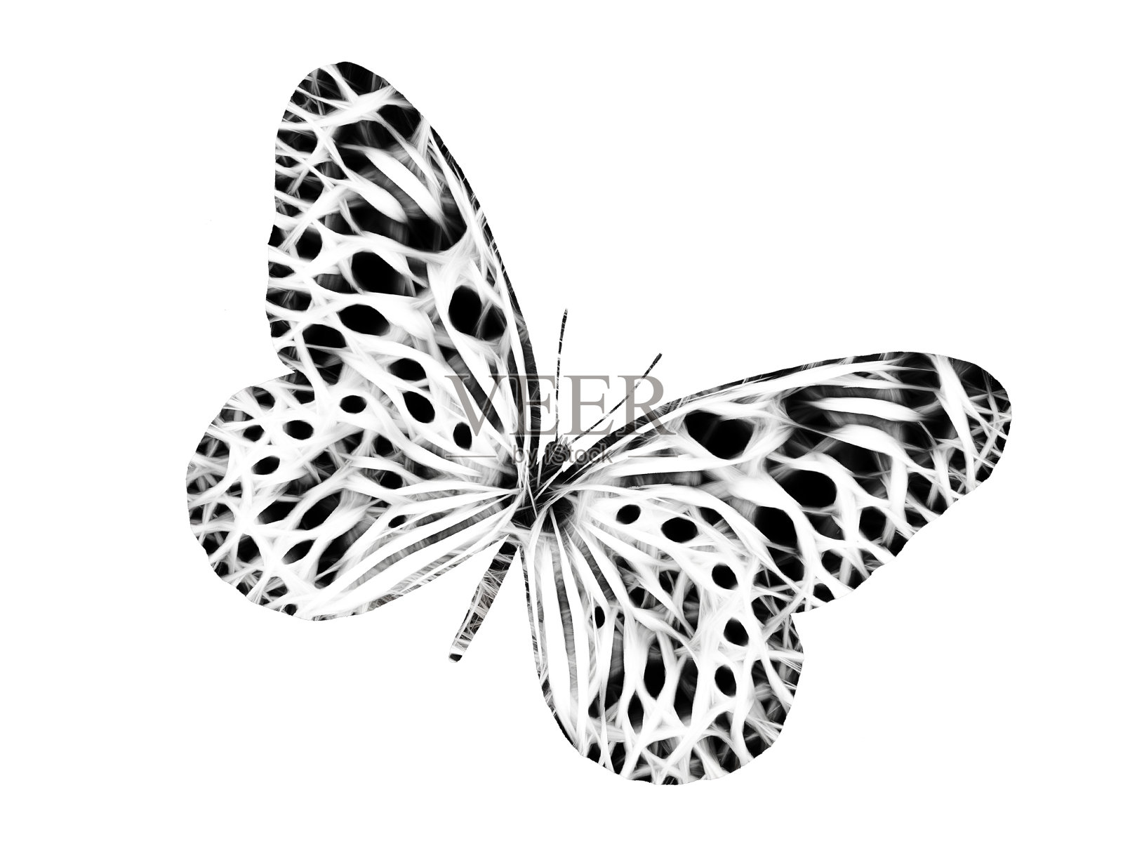 蝴蝶设计设计元素图片