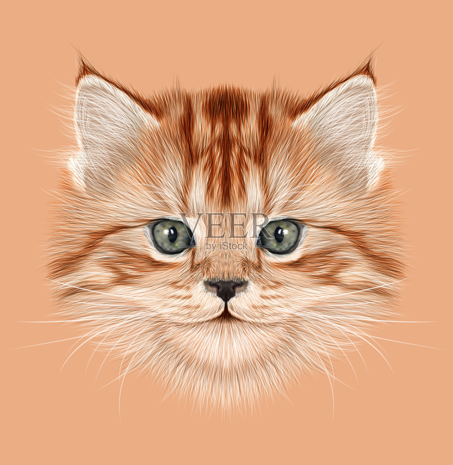 家养小猫的插图肖像插画图片素材