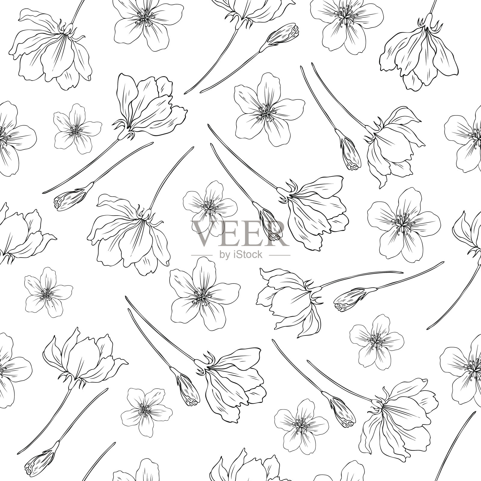 苹果花花朵手绘孤立在白色背景上，无缝矢量花卉图案，樱花轮廓艺术贺卡，包装设计化妆品，邀请，壁纸，装饰纹理插画图片素材