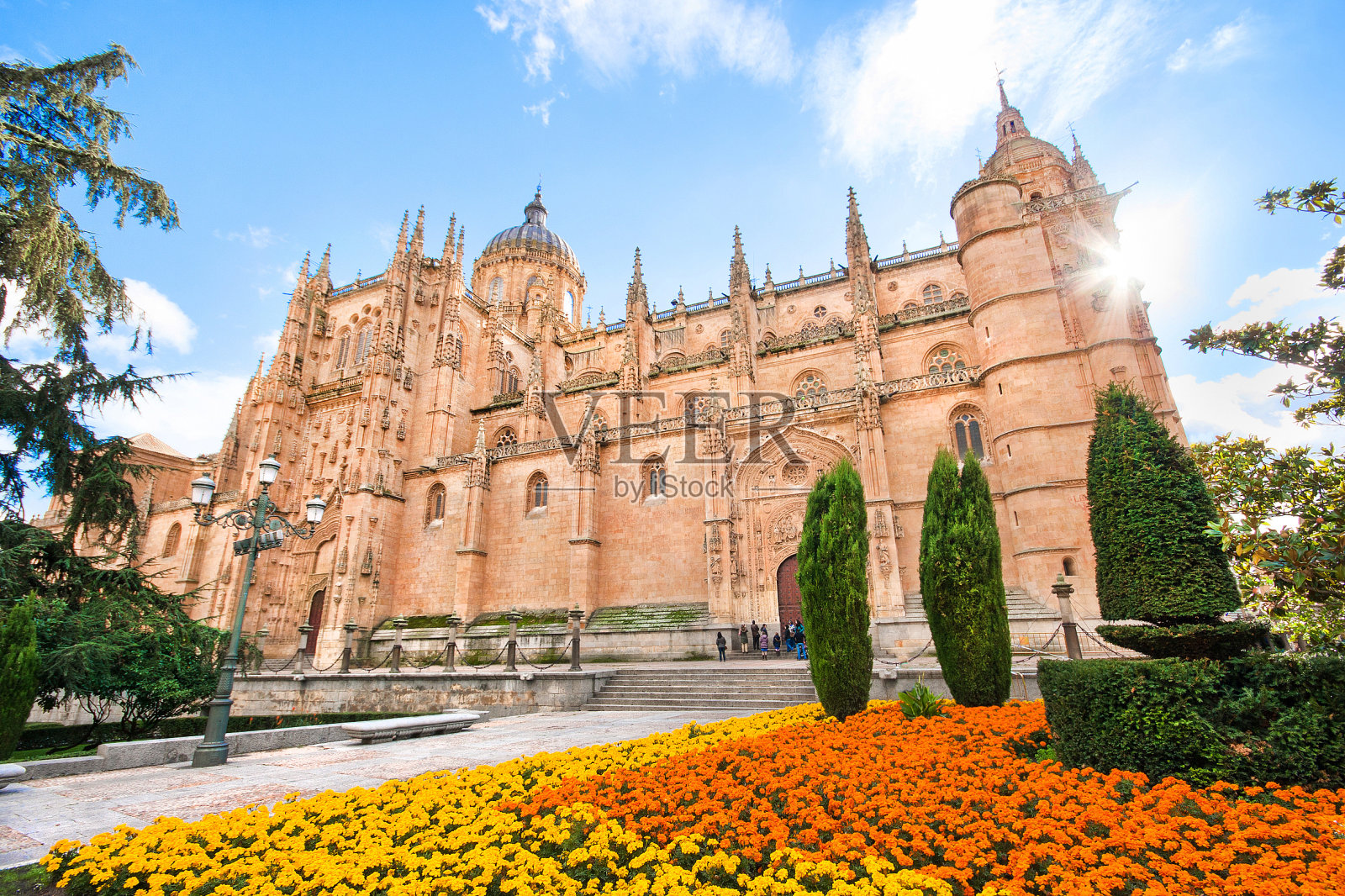 美丽的萨拉曼卡大教堂，卡斯蒂利亚莱昂地区，西班牙照片摄影图片