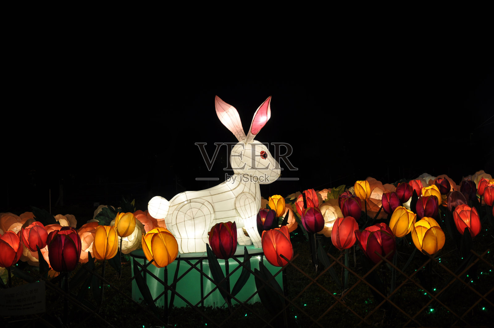 中国中秋兔彩绘郁金香海灯照片摄影图片