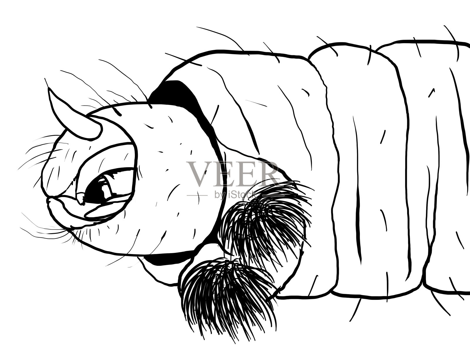 红蚯蚓插画图片素材