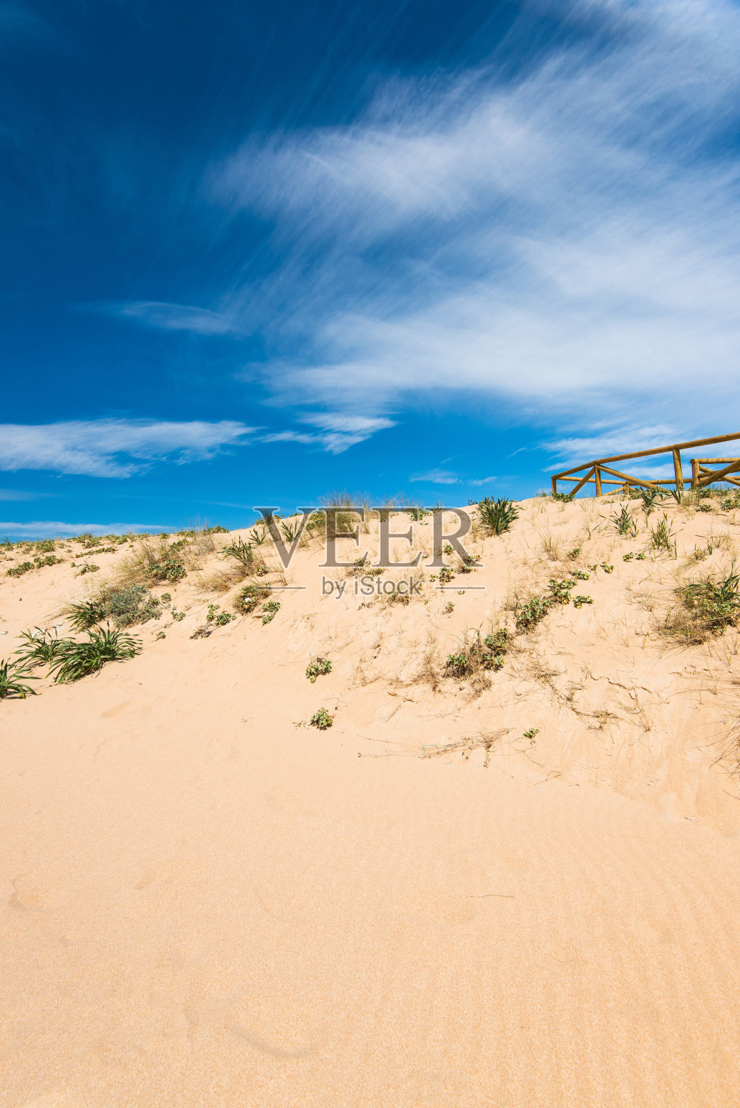 西班牙Zahara de los Atunes自然保护区的沙丘照片摄影图片