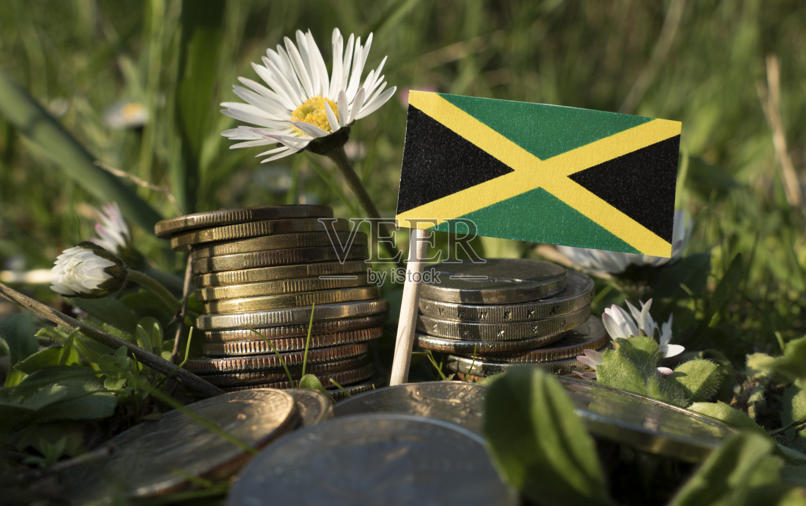 牙买加国旗和一堆钱，硬币和草和花照片摄影图片
