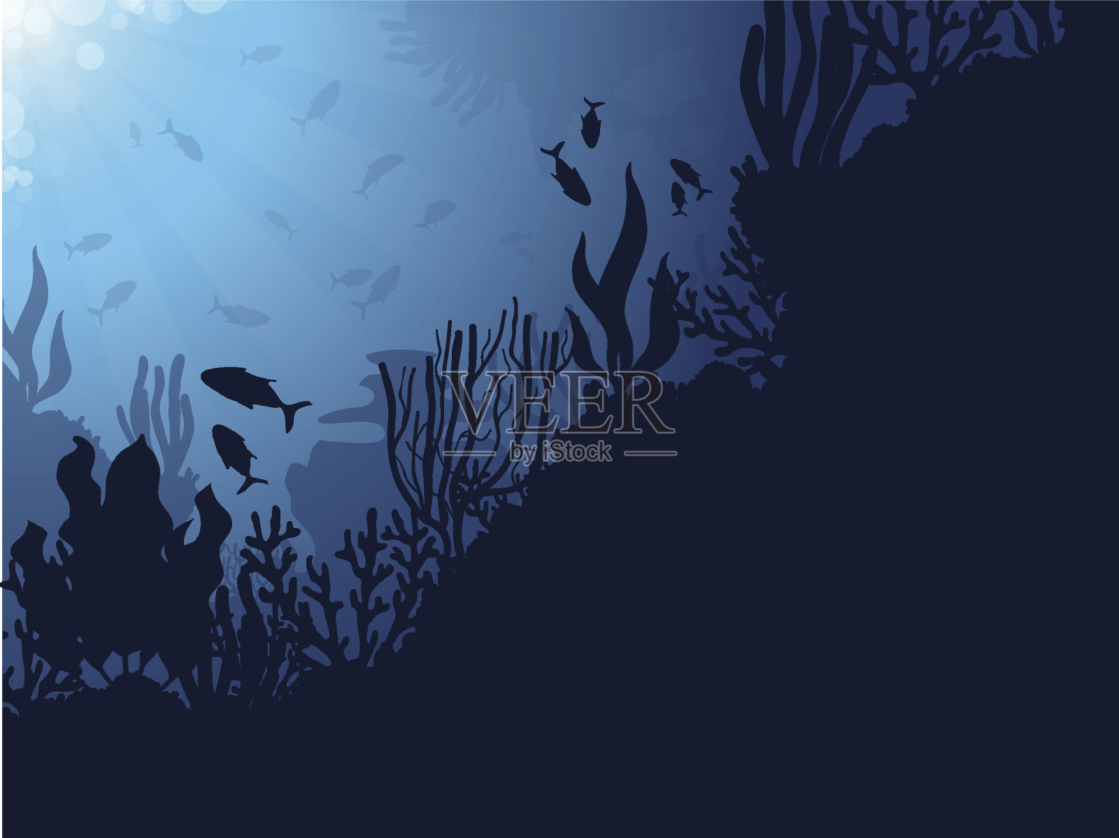 珊瑚礁的背景插画图片素材