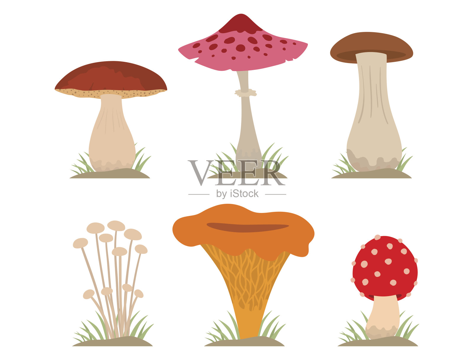 蘑菇为烹调食品和有毒的自然膳食素食健康的秋天食用和真菌有机蔬菜原料矢量插图插画图片素材