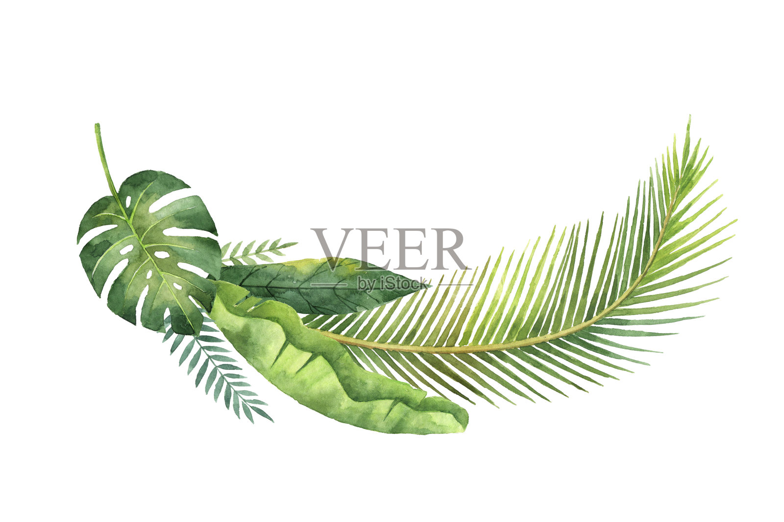 水彩花环热带树叶和树枝孤立在白色的背景。插画图片素材