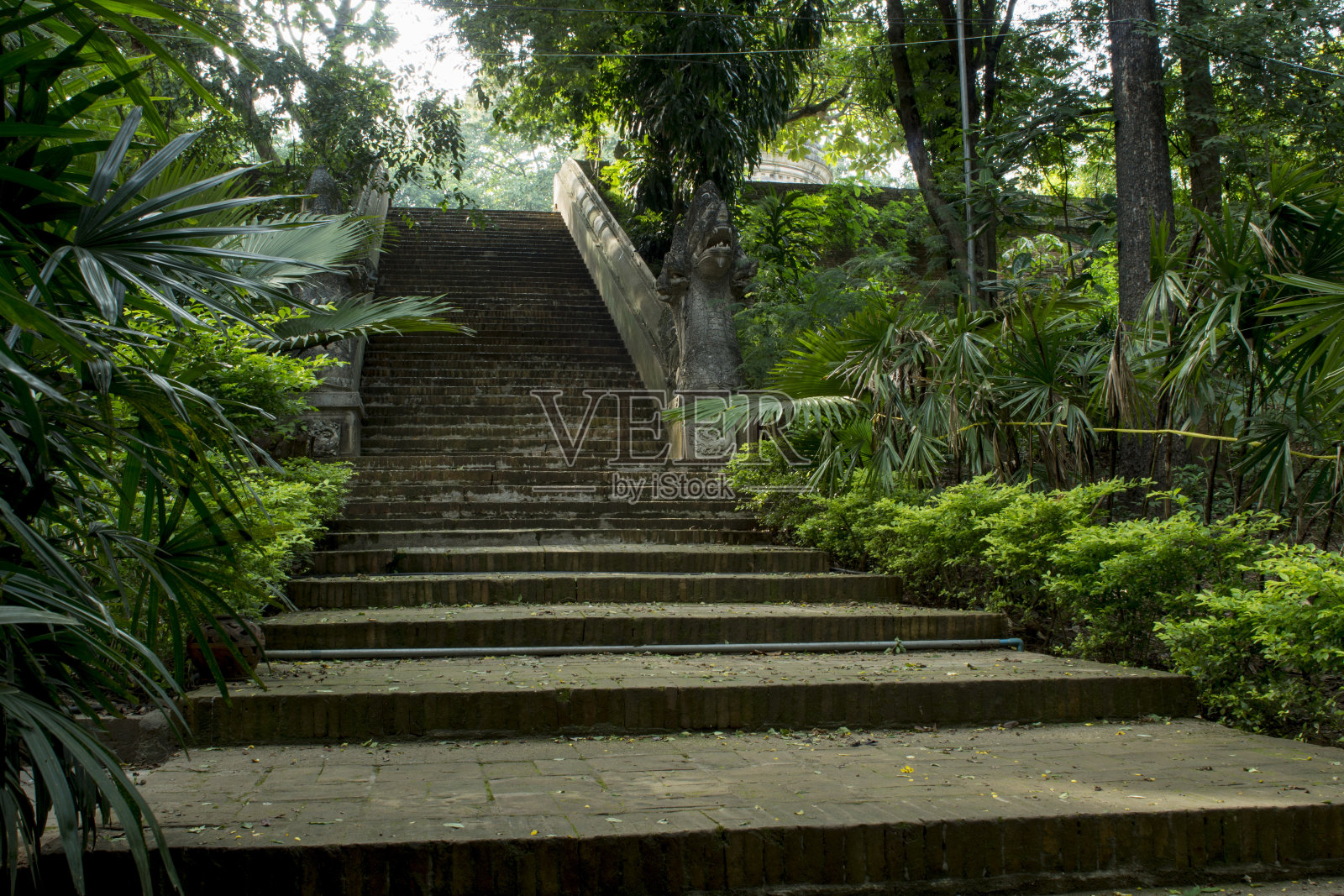泰国佛教寺庙的楼梯。照片摄影图片