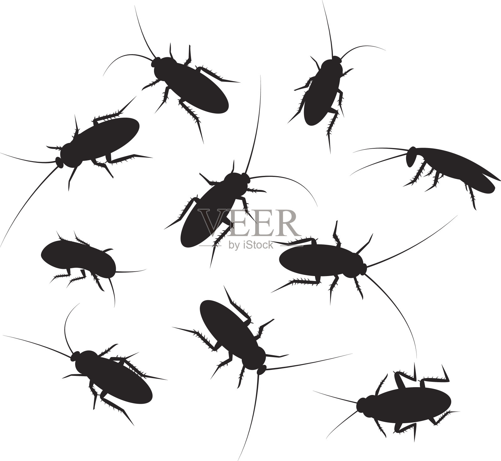 一组黑色轮廓蟑螂的细节，孤立在白色插画图片素材