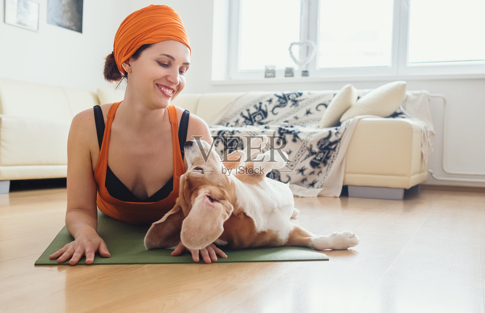 一个女人在家里练习瑜伽，但狗试图和她玩照片摄影图片