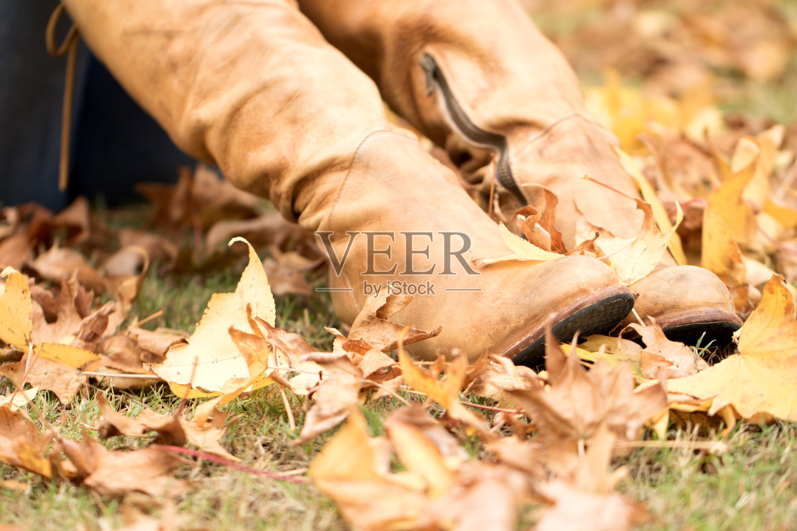女人的脚在秋天的公园照片摄影图片