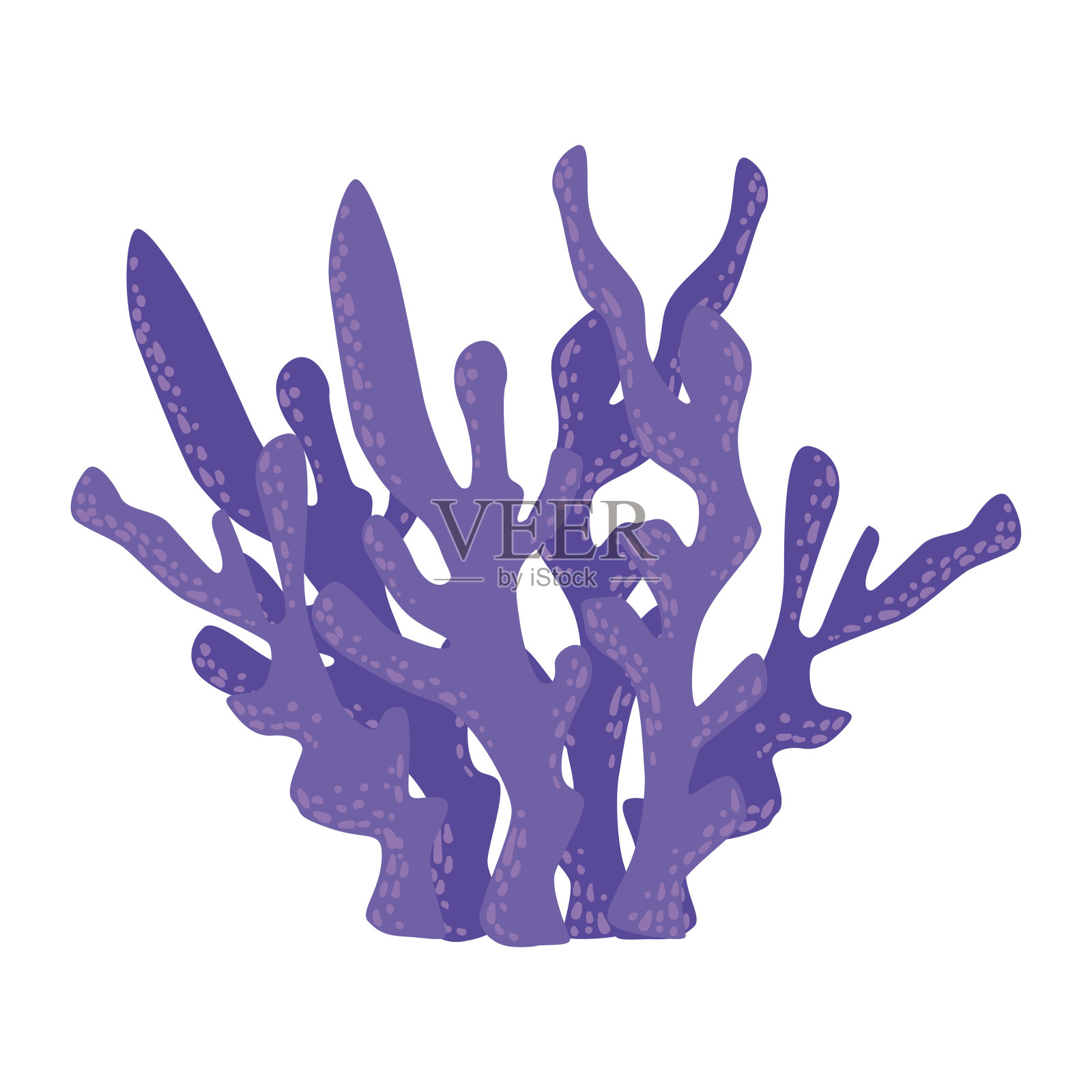 紫罗兰鹿角珊瑚，热带礁海洋无脊椎动物孤立的矢量图标插画图片素材