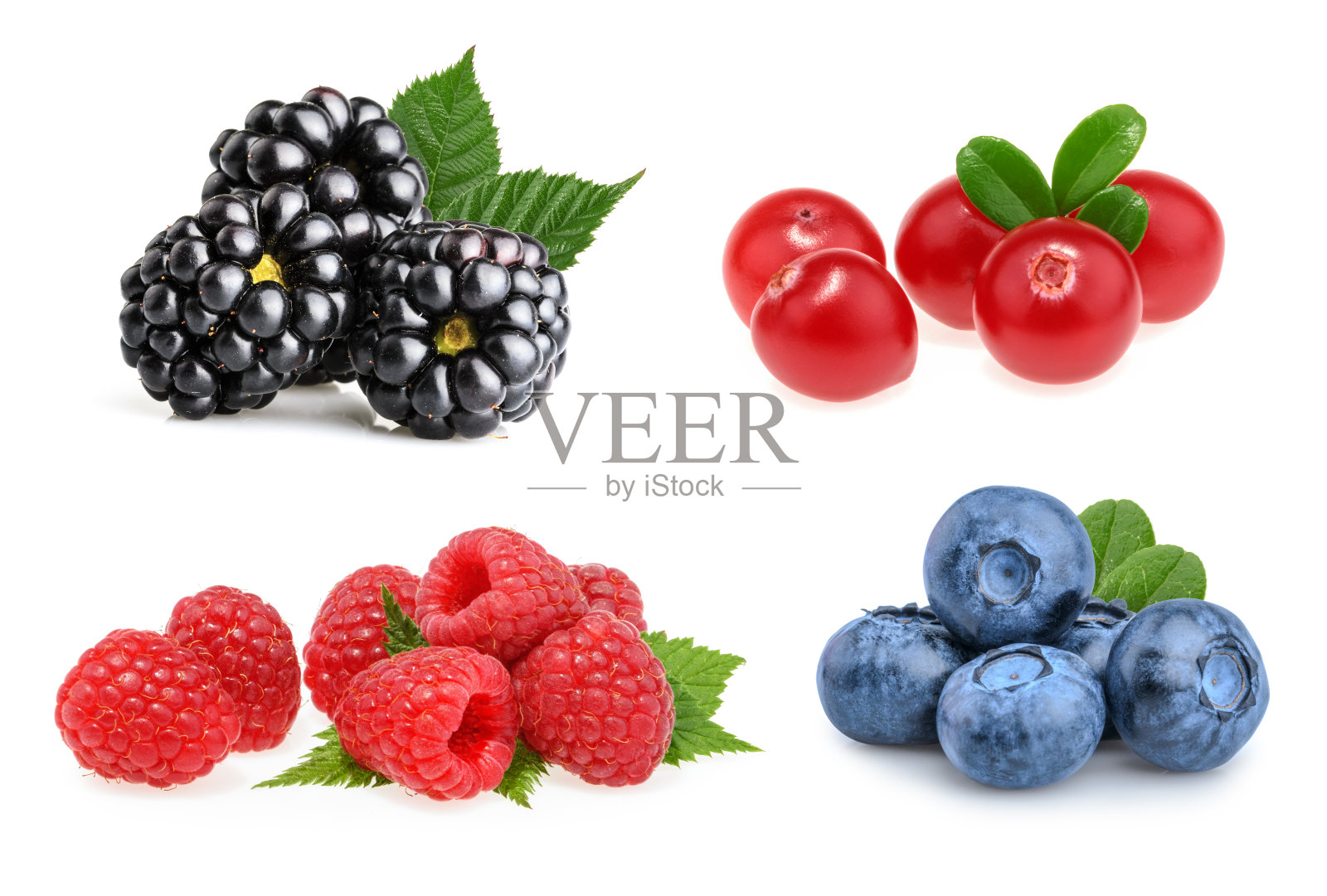 一套美丽的水果(黑莓，蔓越莓，覆盆子，蓝莓)照片摄影图片