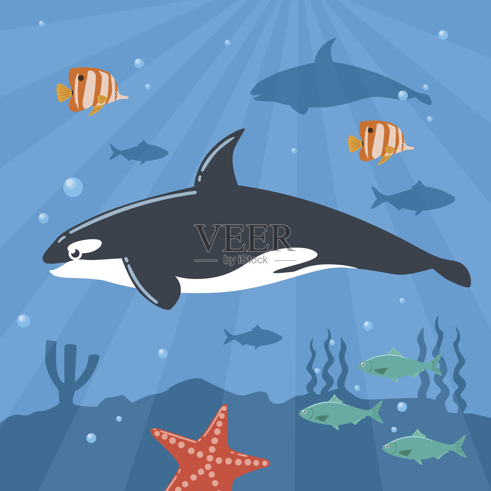 水下虎鲸插图设计元素图片