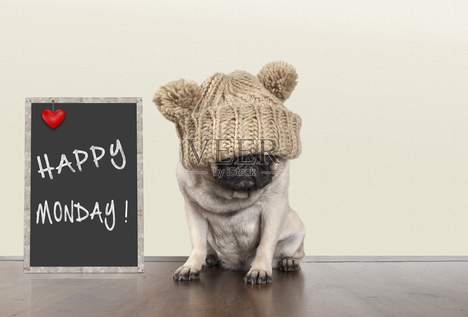 可爱的哈巴狗狗带着星期一早上的坏心情，坐在黑板旁边用文字写着星期一快乐的空间照片摄影图片