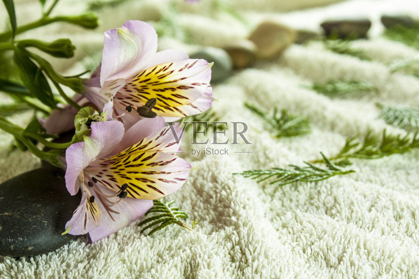 毛巾背景与鲜花和石头照片摄影图片