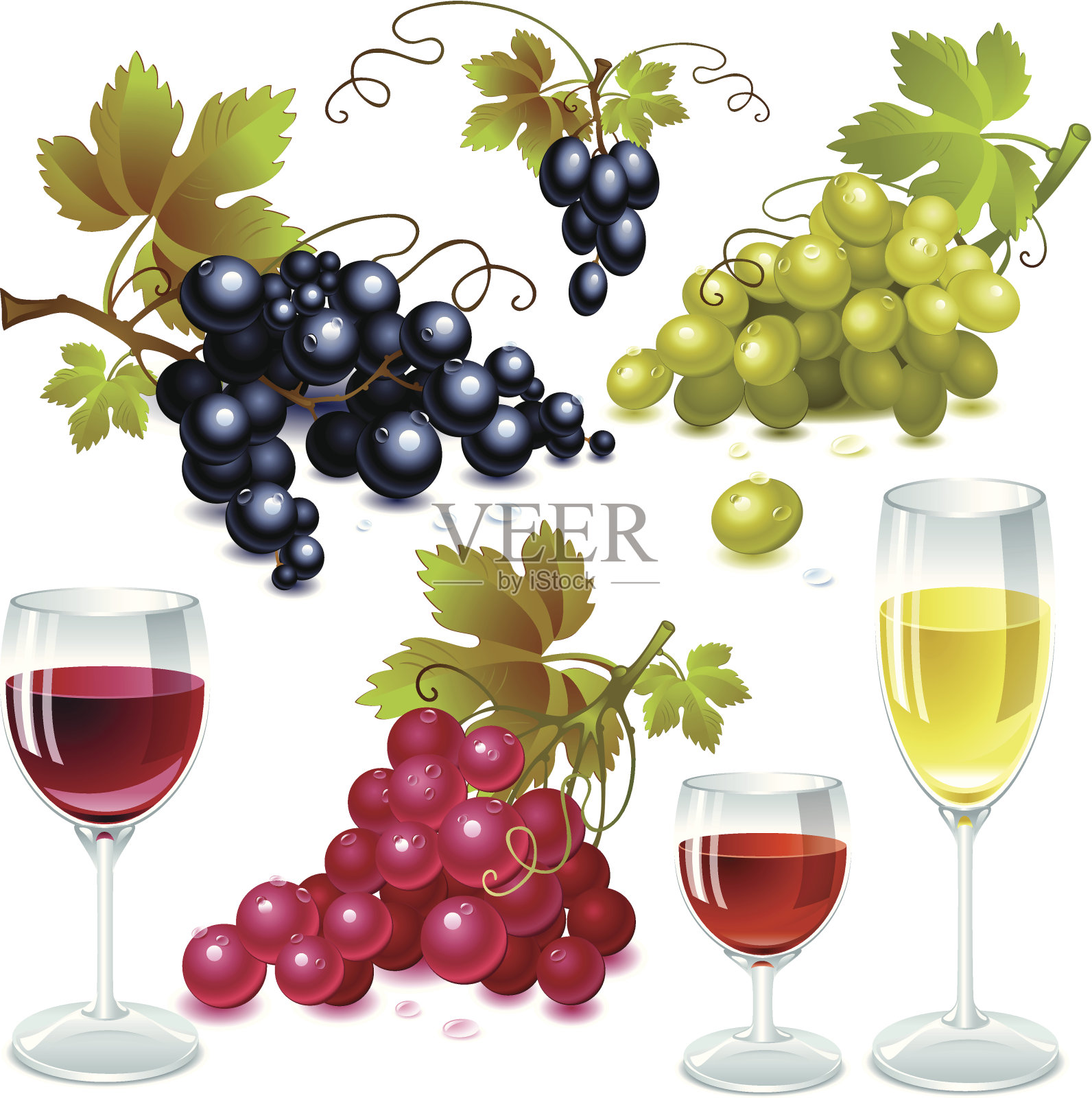 葡萄和葡萄酒插画图片素材