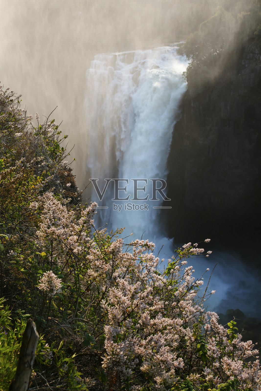 维多利亚瀑布照片摄影图片