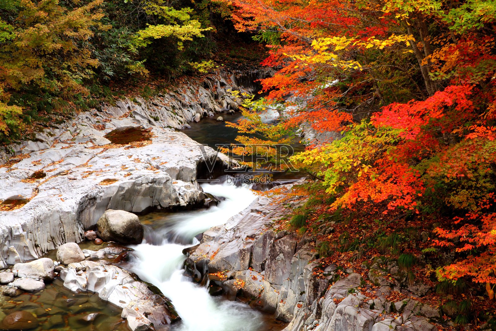 山谷的秋色照片摄影图片