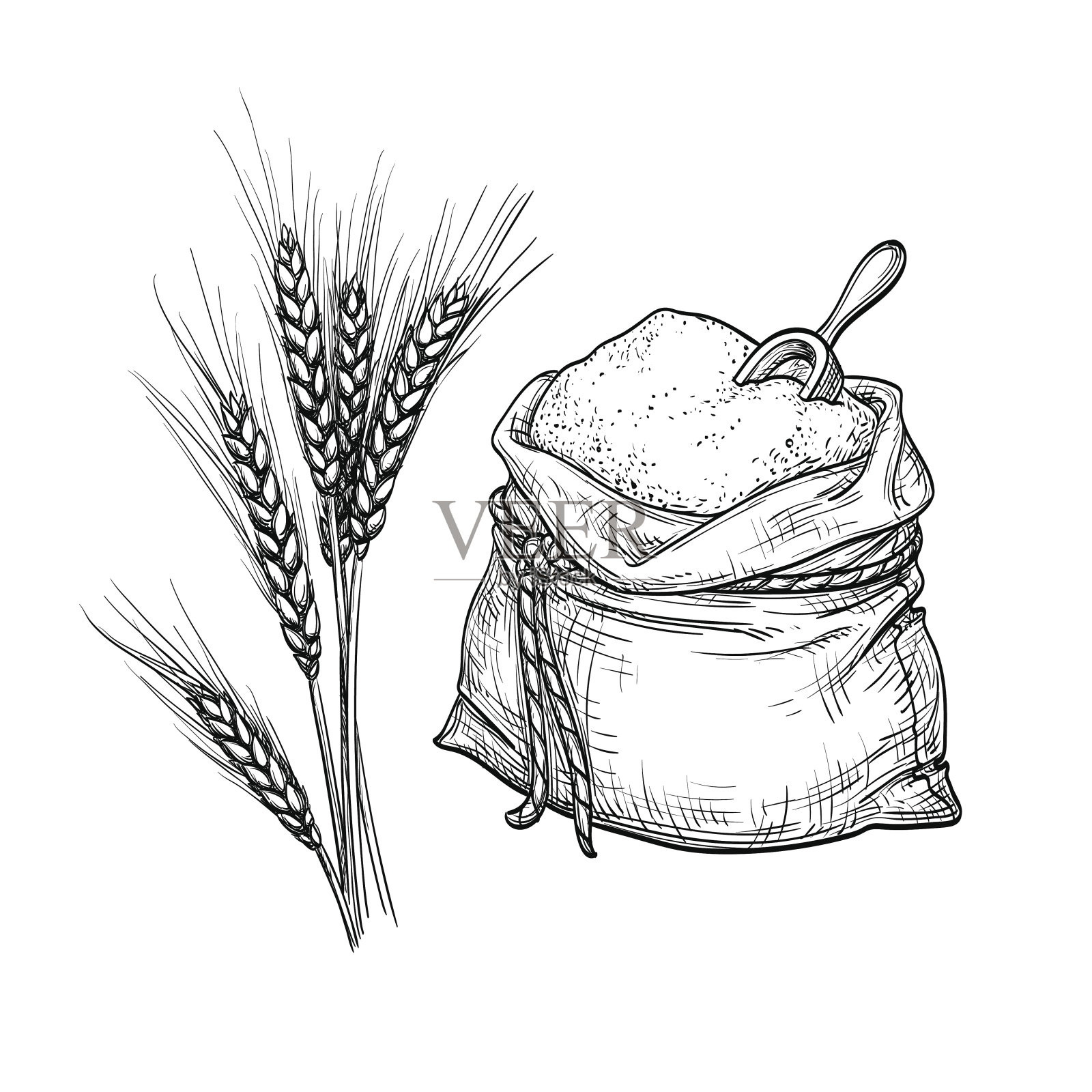 小麦和一袋面粉。设计元素图片