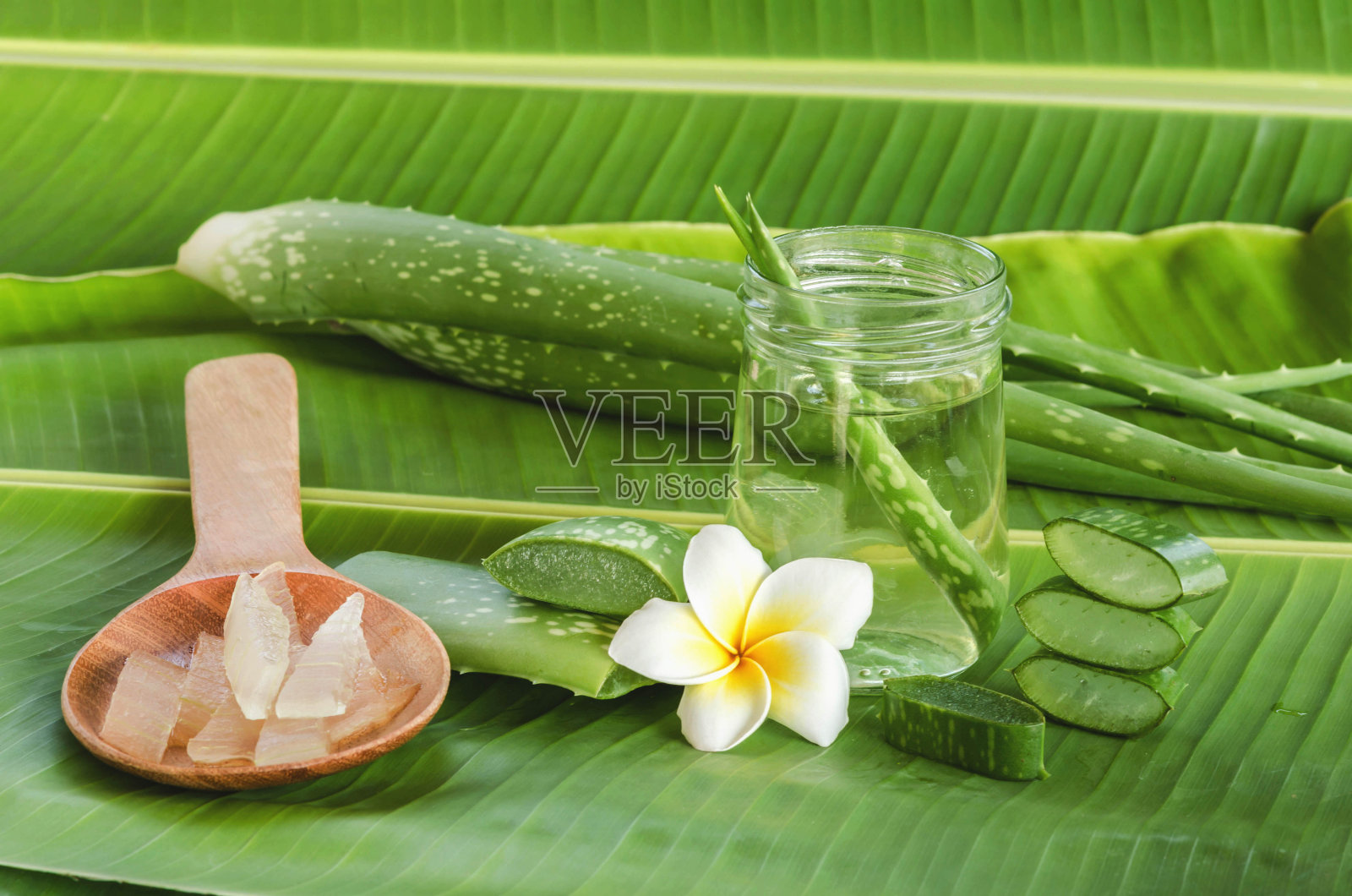 芦荟是一种非常有用的草药，用于皮肤治疗和水疗护理。照片摄影图片