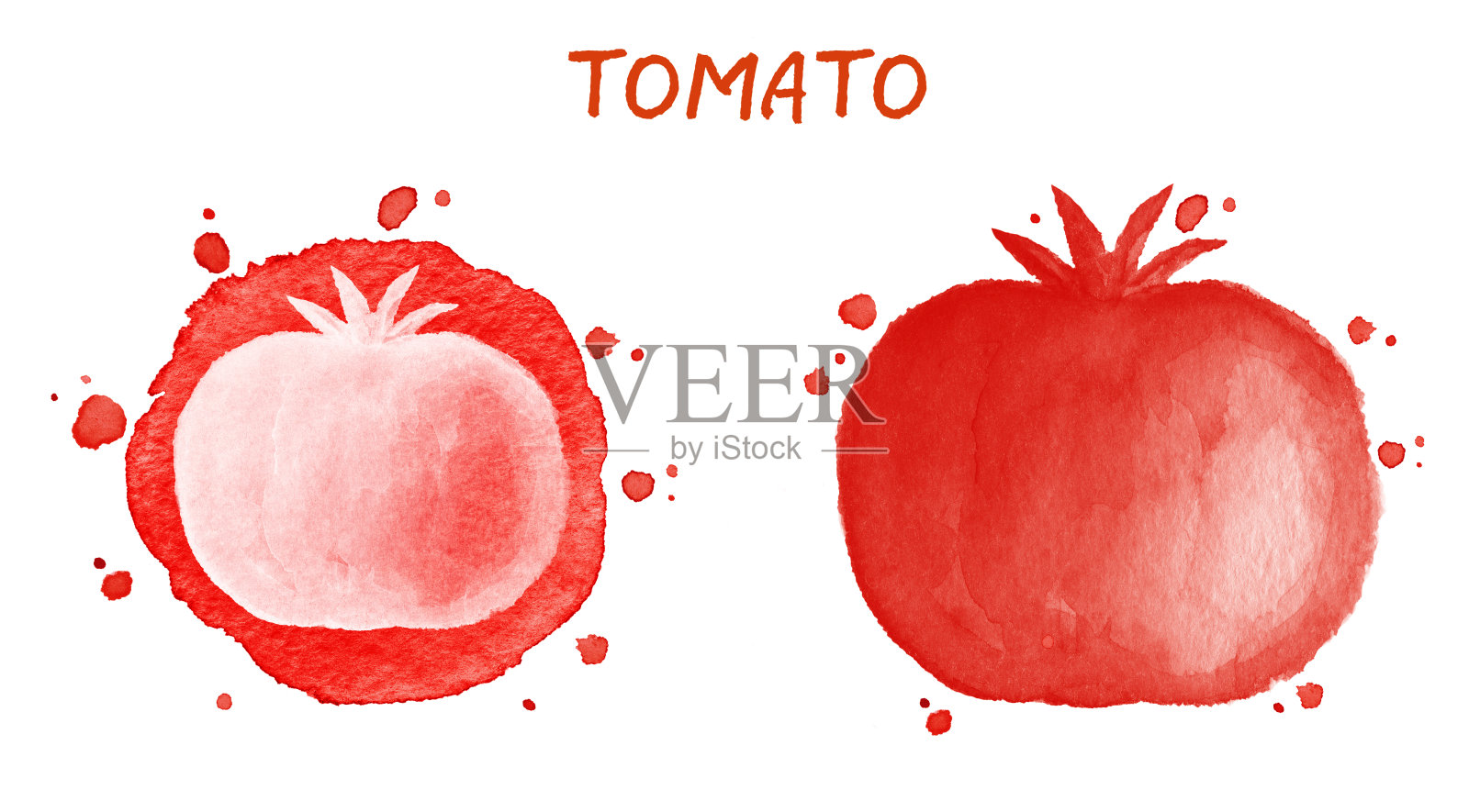 蔬菜套装-西红柿。水彩插图插画图片素材