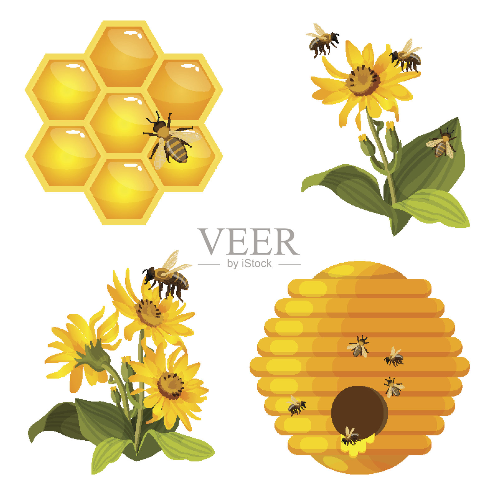 蜜蜂在蜂房上，蜂房上筑巢，蜜蜂在黄色的田野花上分开设计元素图片