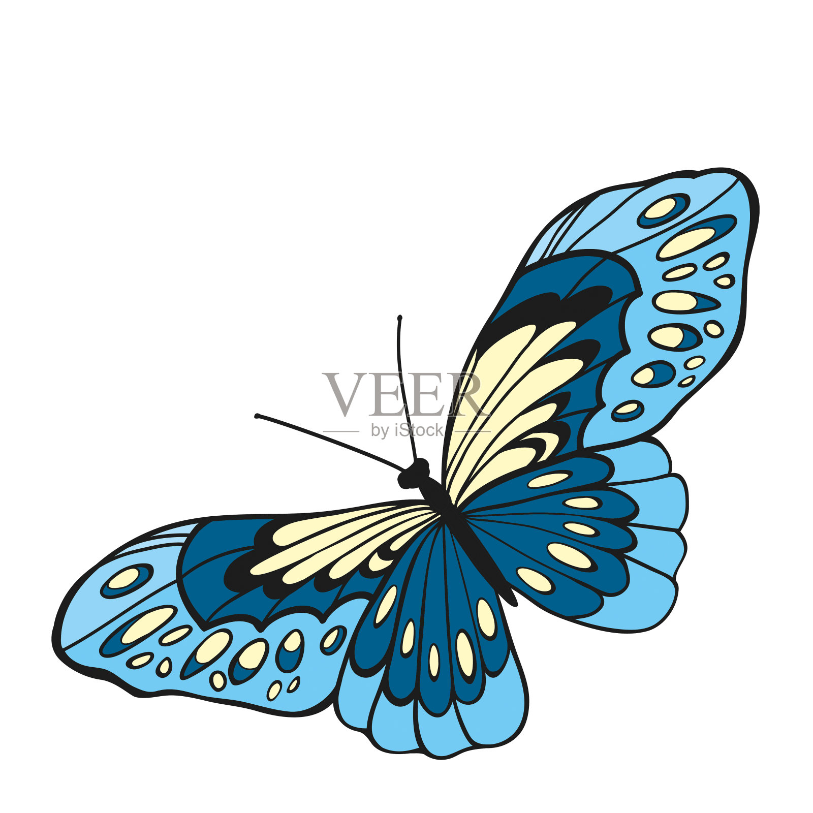 在俯视图中打开翅膀的蓝色蝴蝶。插画图片素材