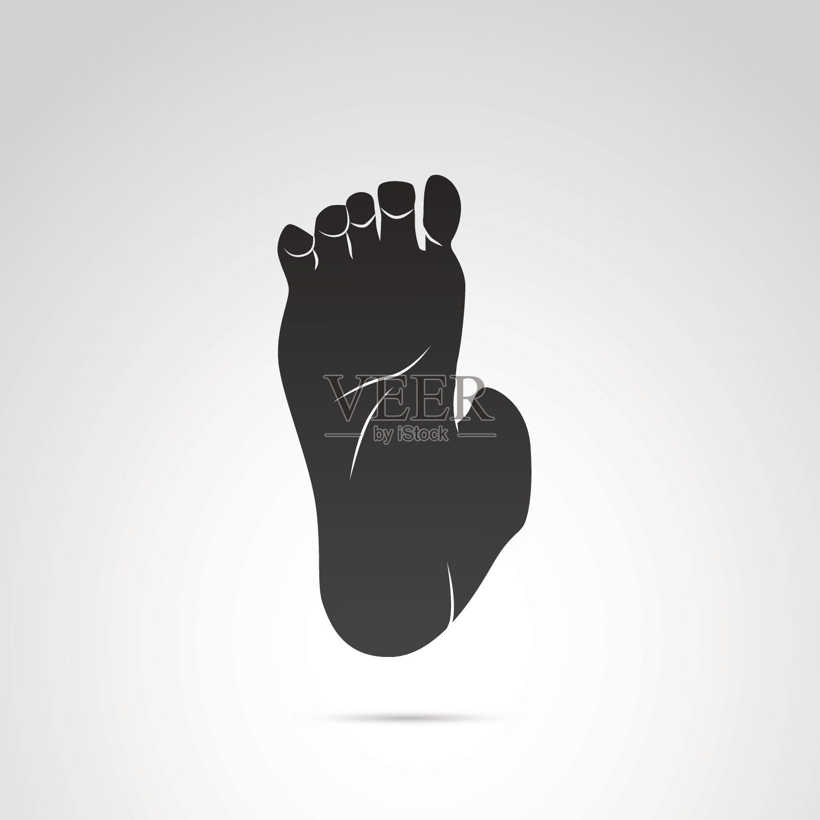 脚，人腿图标孤立在白色背景。插画图片素材