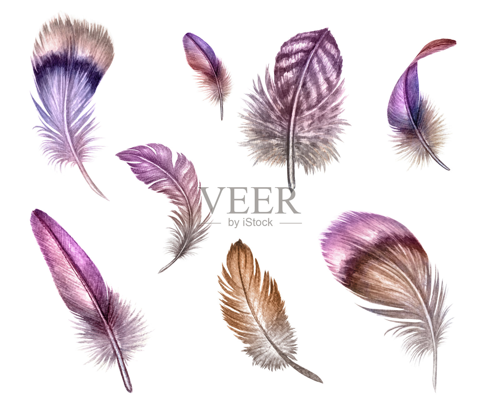 水彩波西米亚插画，粉色羽毛，捕梦网，白色背景设计元素图片