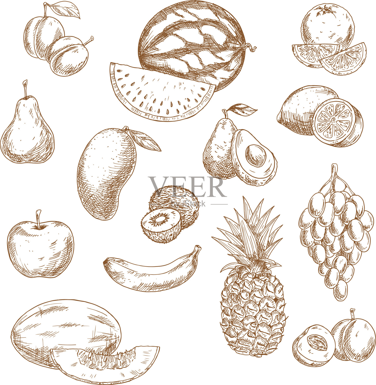 整体和减半的新鲜水果复古素描图标插画图片素材