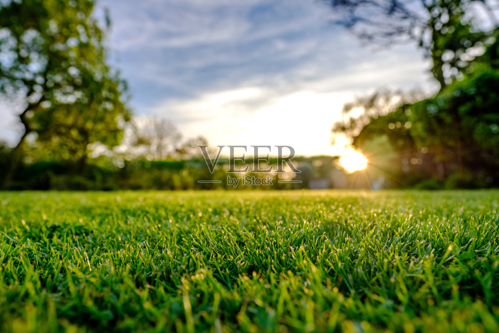 晚春壮丽的日落，显示了最近修剪和维护良好的大草坪在农村的位置。照片摄影图片