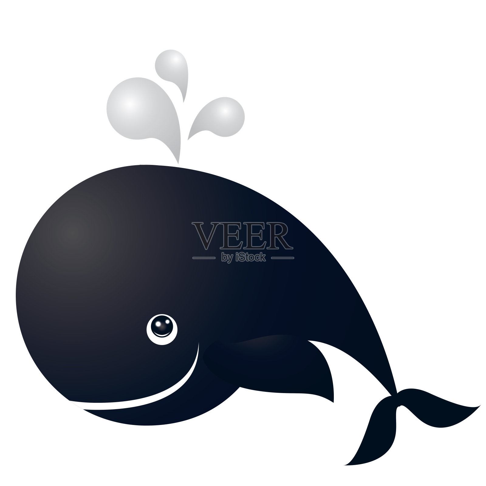 鲸类海洋鱼类隔离设计元素图片